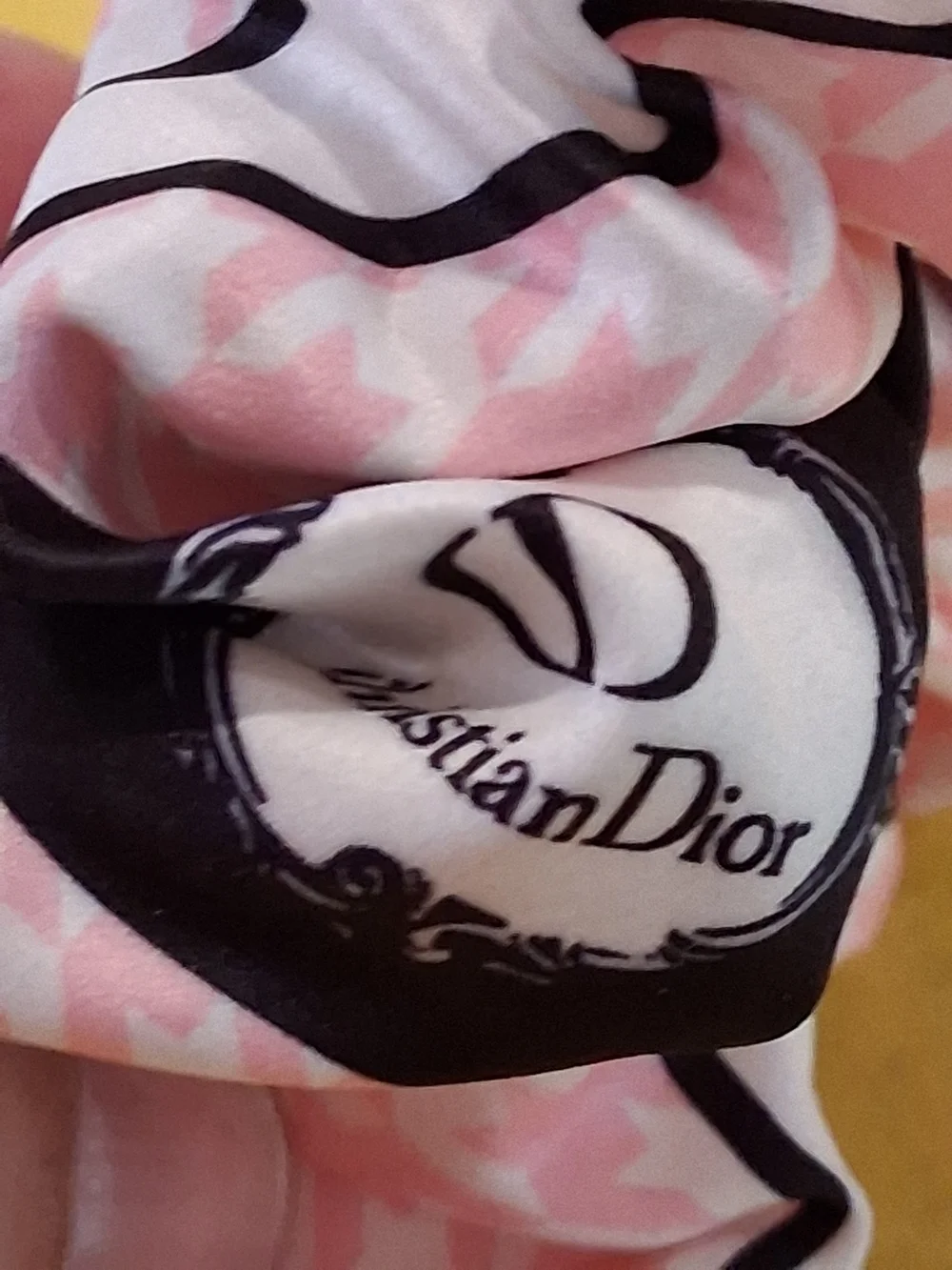 Dior designer pi